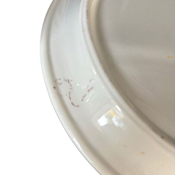 Jackson China B.P.O.E. 349 Elks Lodge DuBois Pa Sectional 10 1/2”  Plate - Picture 6 of 6